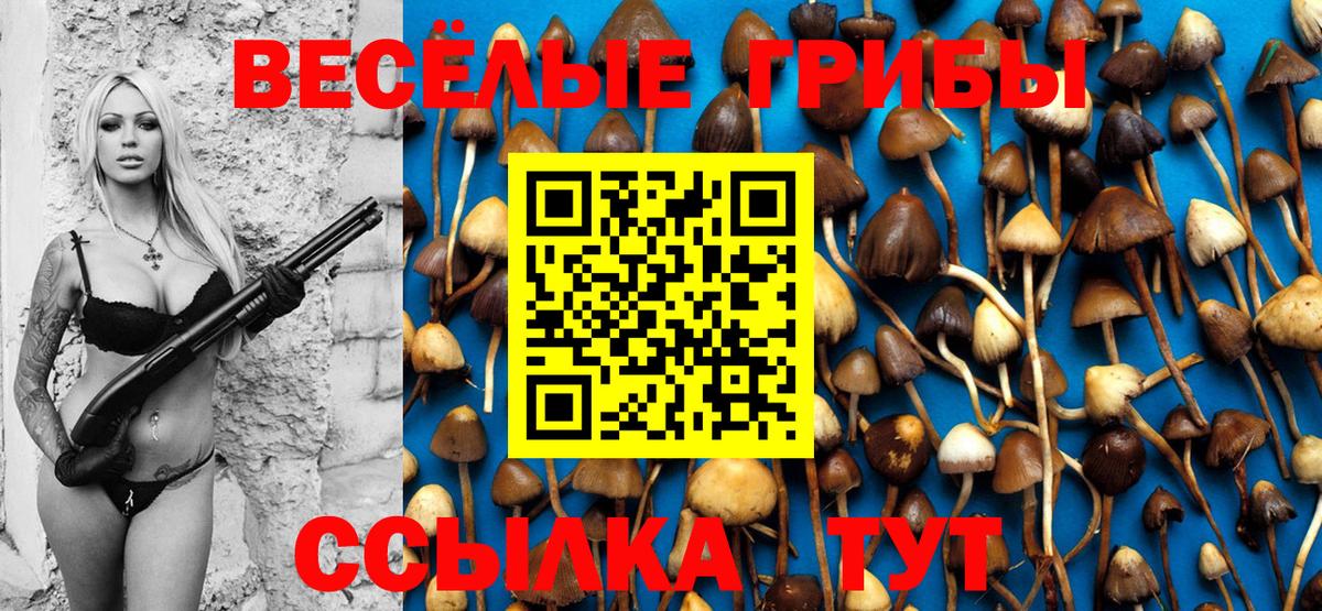 Псилоцибиновые грибы Cubensis Альметьевск