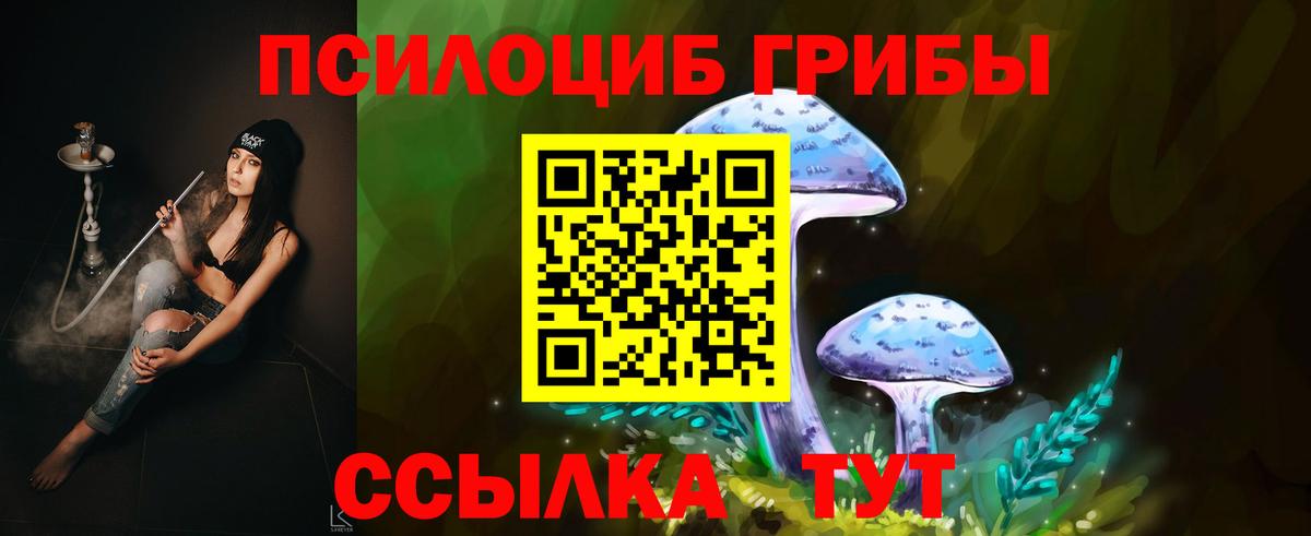 Псилоцибиновые грибы GOLDEN TEACHER  Вход с VPN  Альметьевск 